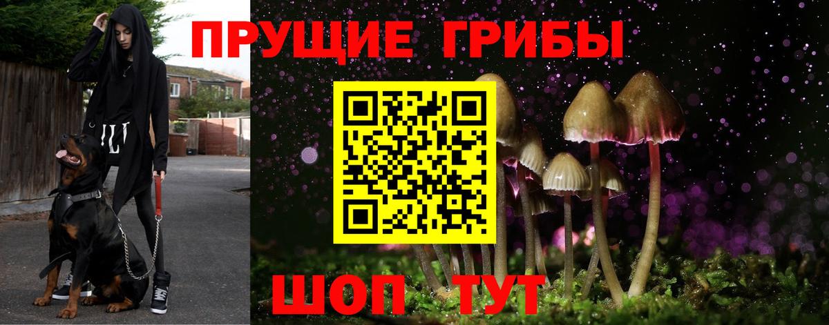 Галлюциногенные грибы мицелий  как найти закладки  Людиново  Псилоцибиновые грибы MAGIC MUSHROOMS  Вход с VPN 
