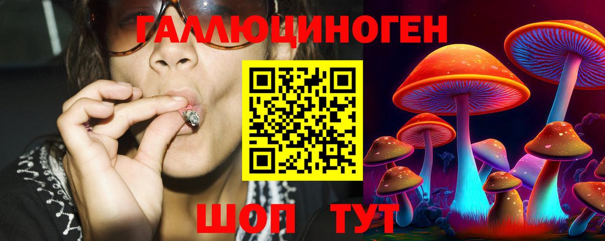 МЕТАДОН Людиново