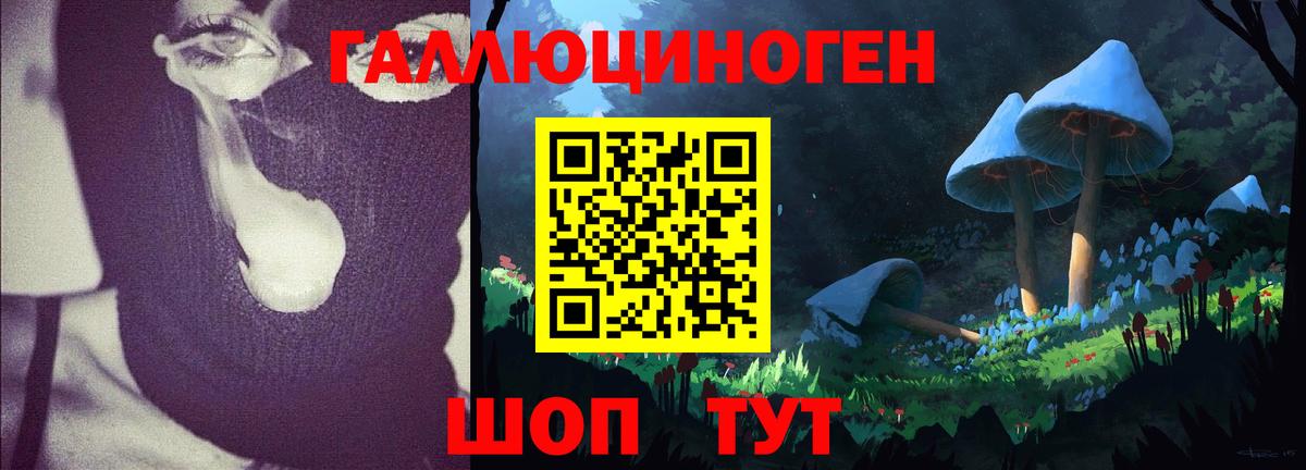 Псилоцибиновые грибы мухоморы Людиново
